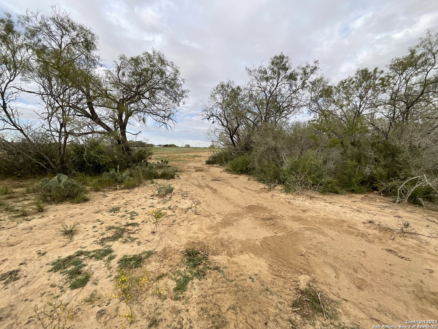 137 Sylas Hayes Loop Pleasanton, TX 78064 - Photo 8 of 31 a view of a yard with trees