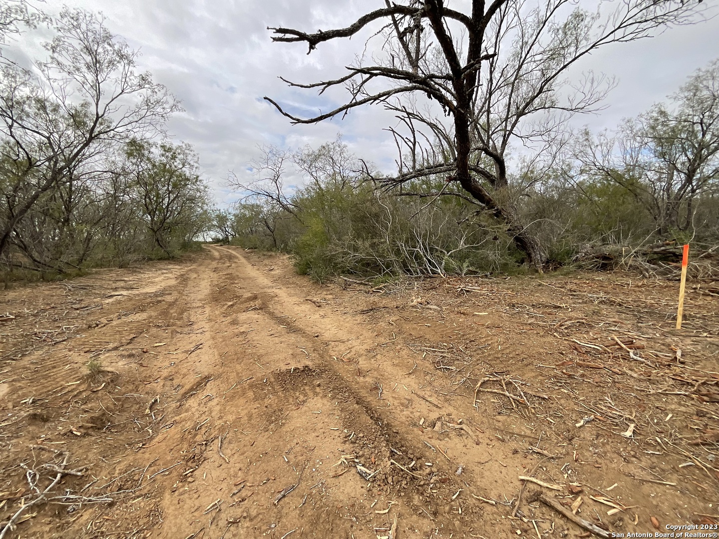 137 Sylas Hayes Loop Pleasanton, TX 78064 - Photo 10 of 31 a view of a yard with a house