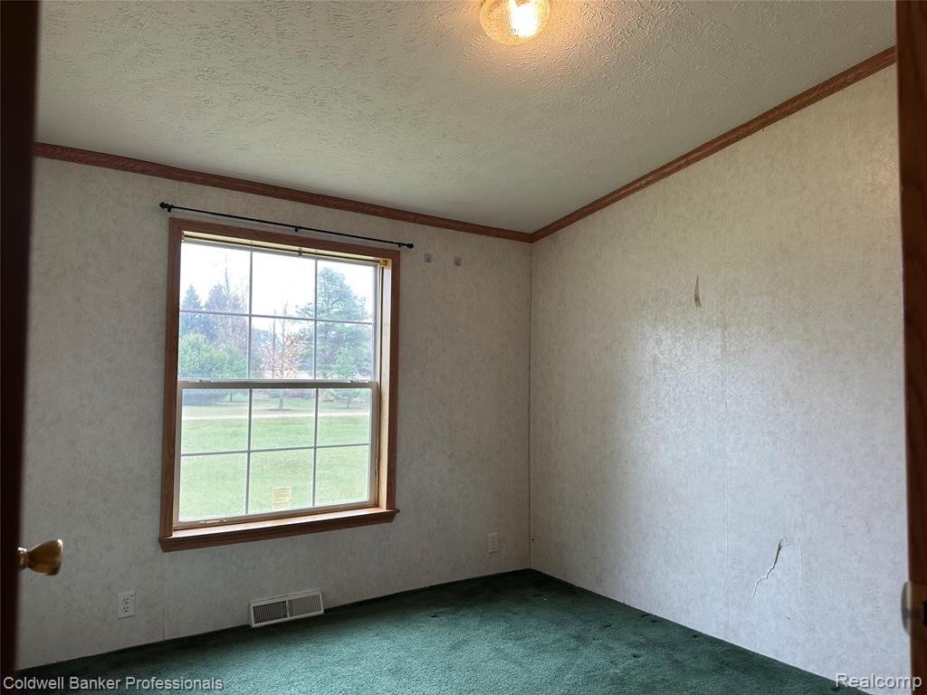 1725 East Burnside Road North Branch, MI 48461 - Photo 10 of 18