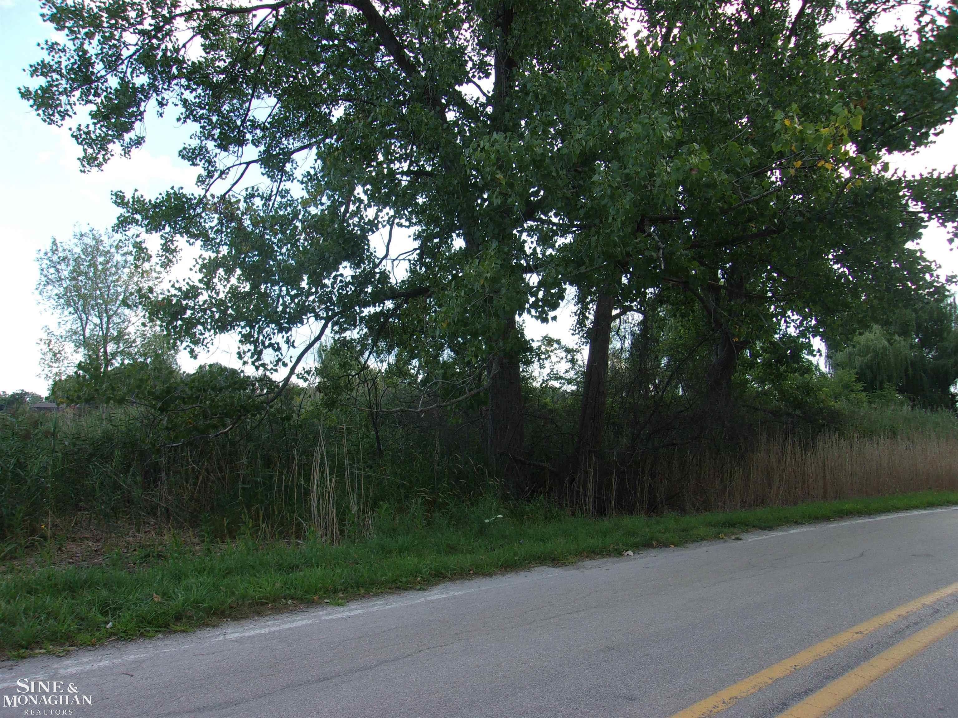 0 Jerry Road Harsens Island, MI 48028 - Photo 2 of 11 50087716-1.JPG