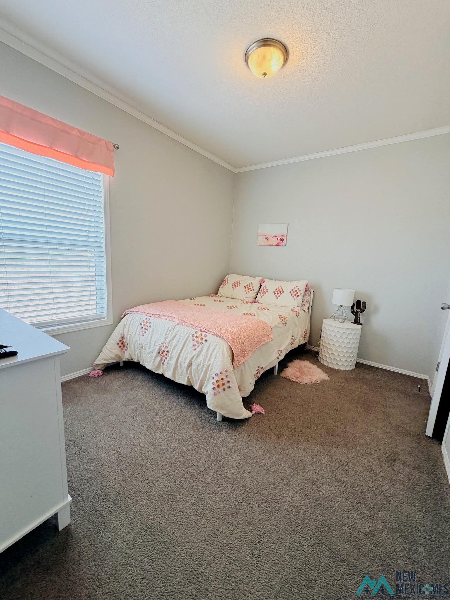 7882 Shoshoni Road Hagerman, NM 88232 - Photo 20 of 24 Gallery Image 20