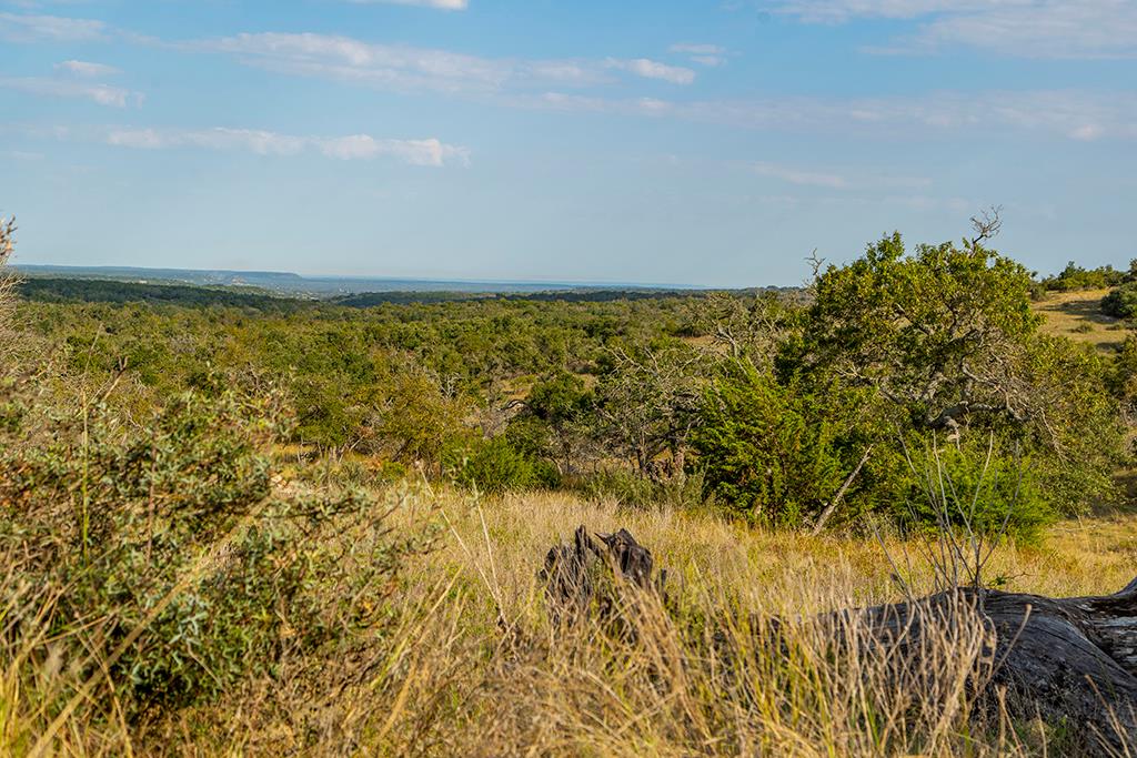4551 Reeh Road Fredericksburg, TX 78624 - Photo 28 of 69 Gallery Image 28