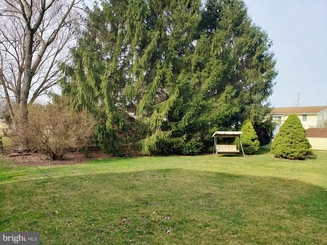 203 Stuart Avenue Hanover, PA 17331 - Photo 13 of 13 Large back yard