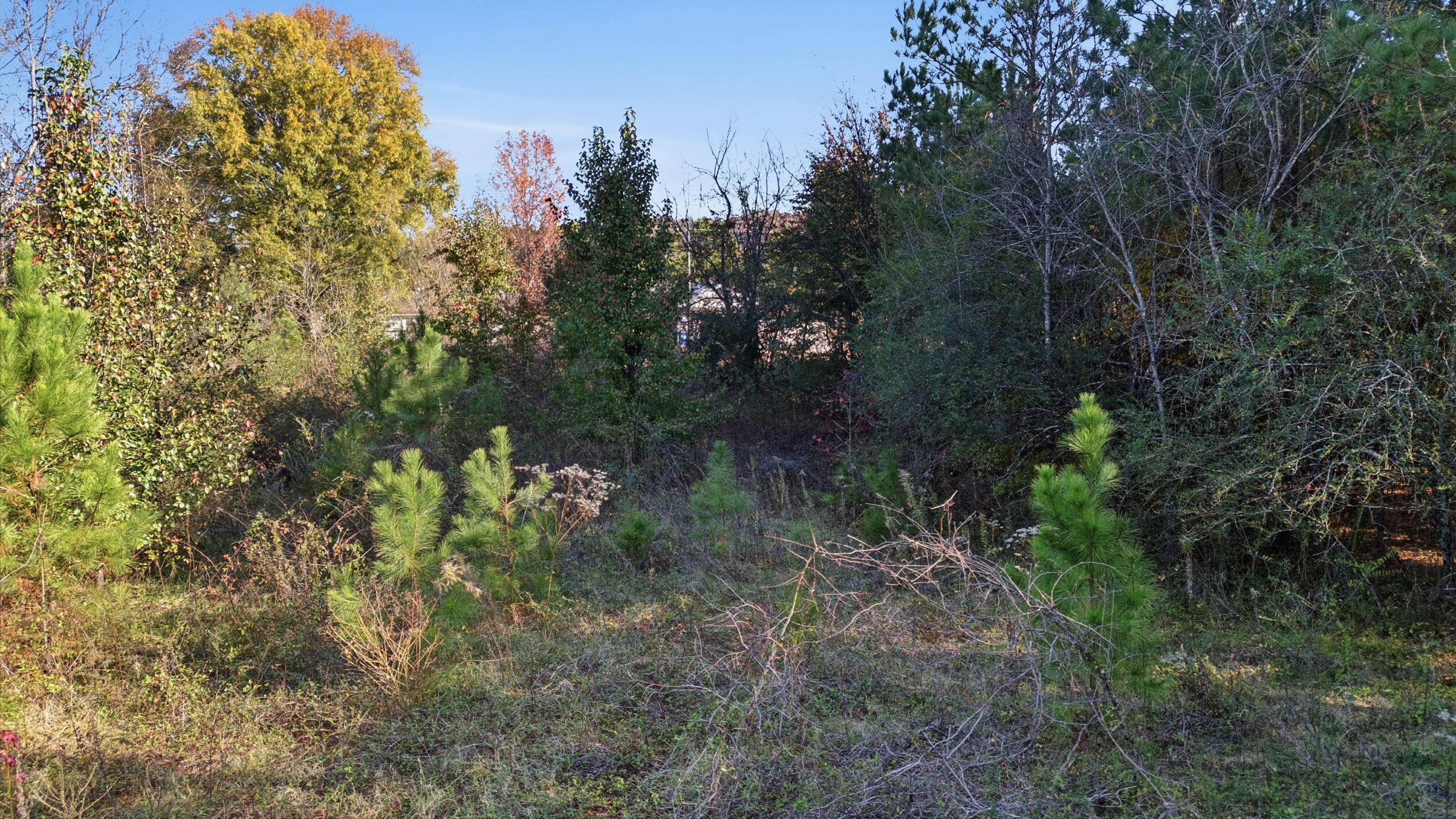 7610 Standifer Gap Road Chattanooga, TN 37421 - Photo 10 of 11 7610 Standifer Gap Rd-2