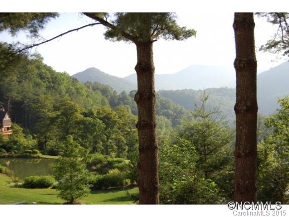 181 Golden Farm Road Tuckasegee, NC 28783 - Photo 3 of 20