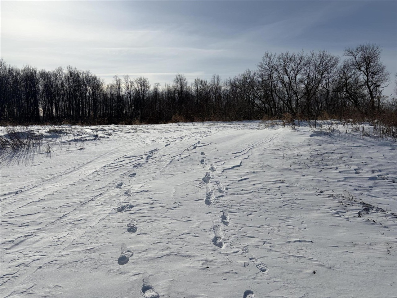V/l Cade Road Capac, MI 48014 - Photo 26 of 51