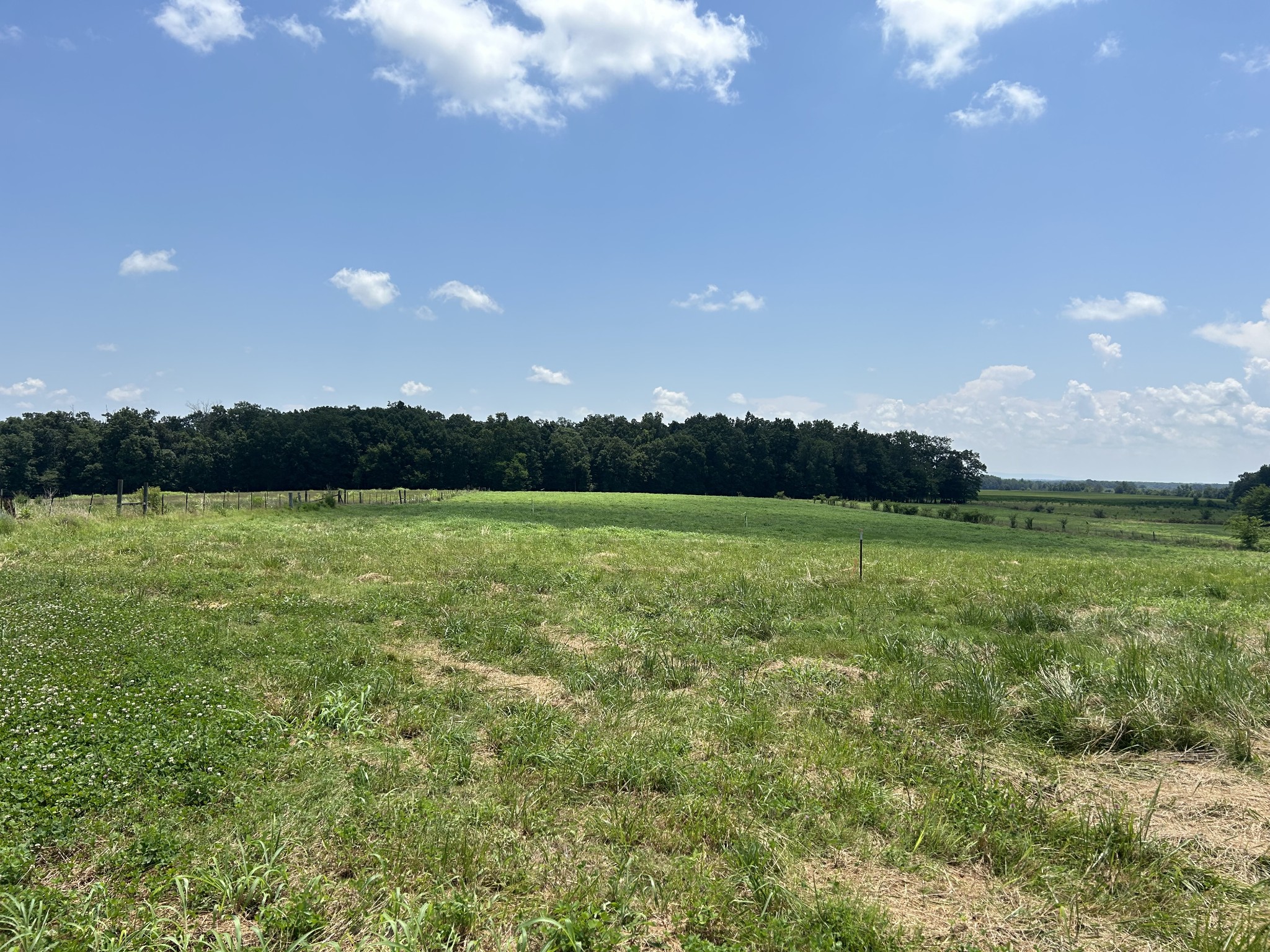 0 Goose Pond Road Manchester, TN 37355 - Photo 2 of 10 a view of a garden