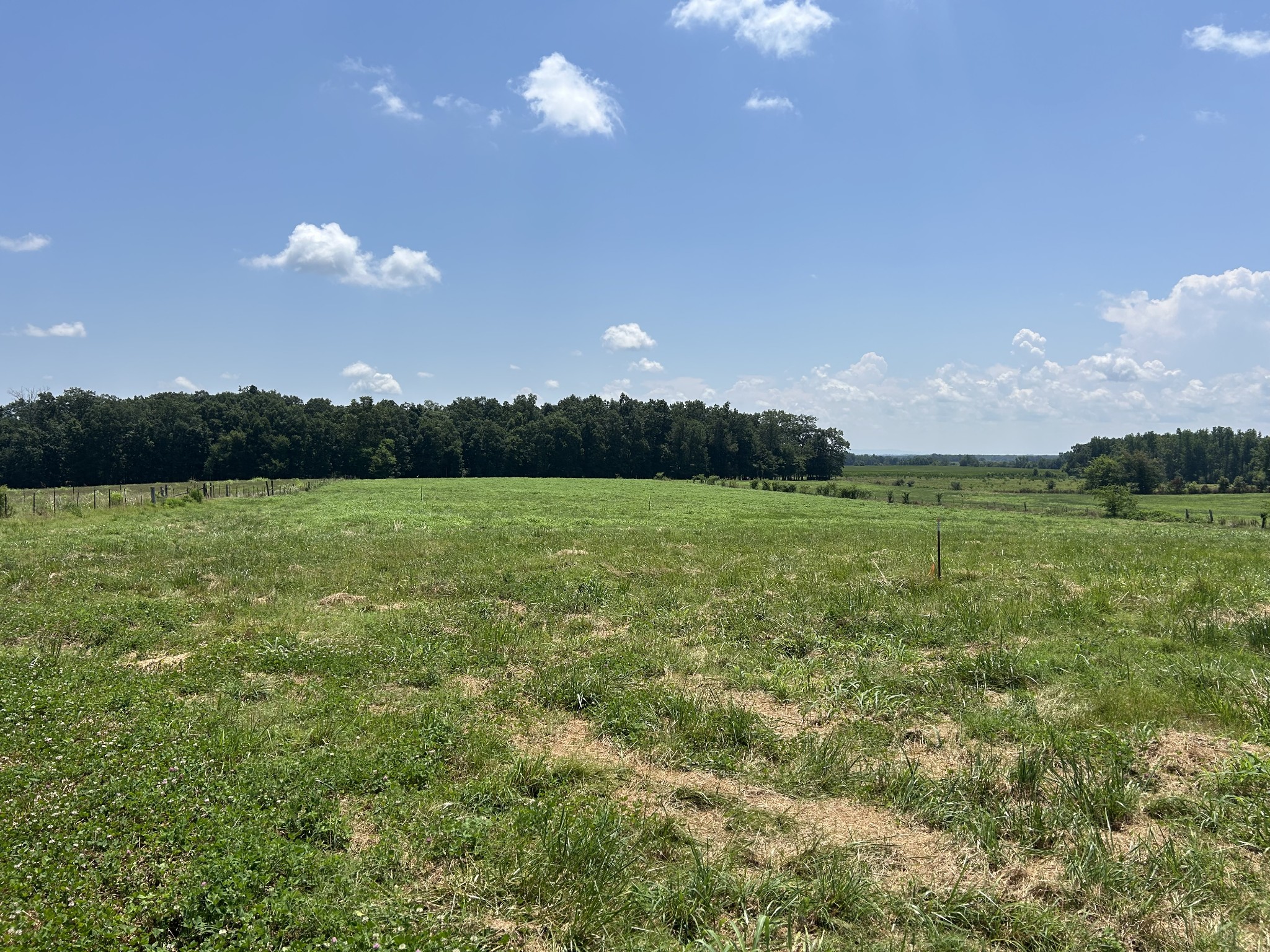 0 Goose Pond Road Manchester, TN 37355 - Photo 3 of 10 a view of a lake with a city