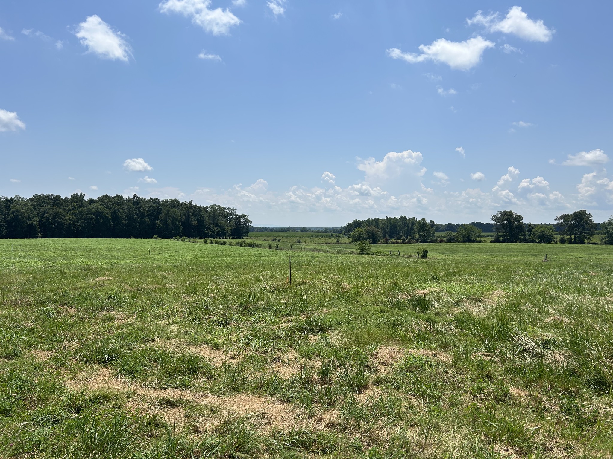 0 Goose Pond Road Manchester, TN 37355 - Photo 4 of 10 a view of a lake