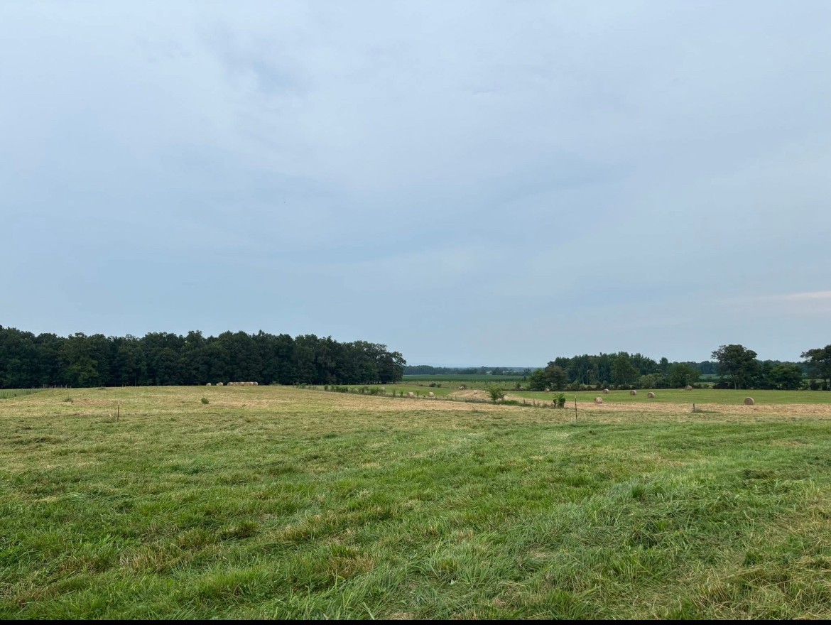 0 Goose Pond Road Manchester, TN 37355 - Photo 5 of 10 a view of a lake with houses in background