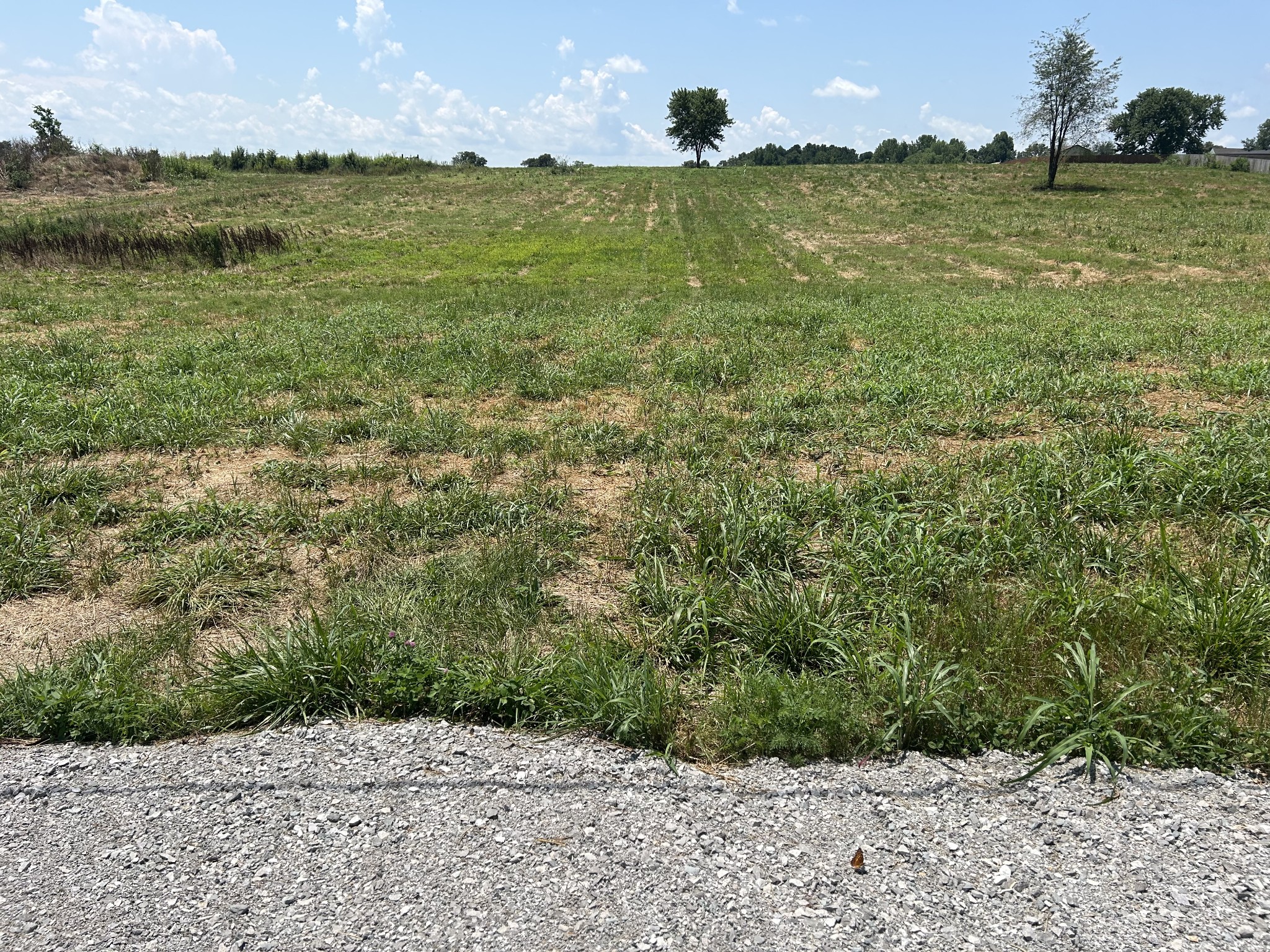 0 Goose Pond Road Manchester, TN 37355 - Photo 7 of 10 a view of a lake from a yard