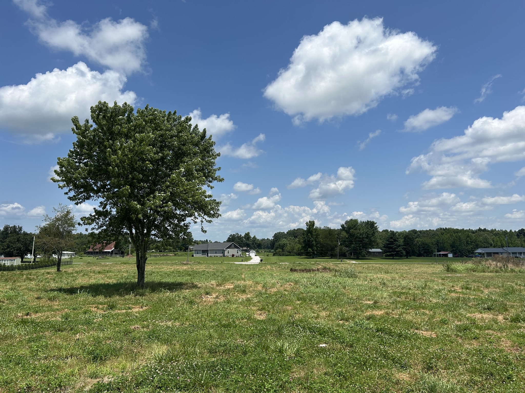0 Goose Pond Road Manchester, TN 37355 - Photo 8 of 10 a view of a big yard