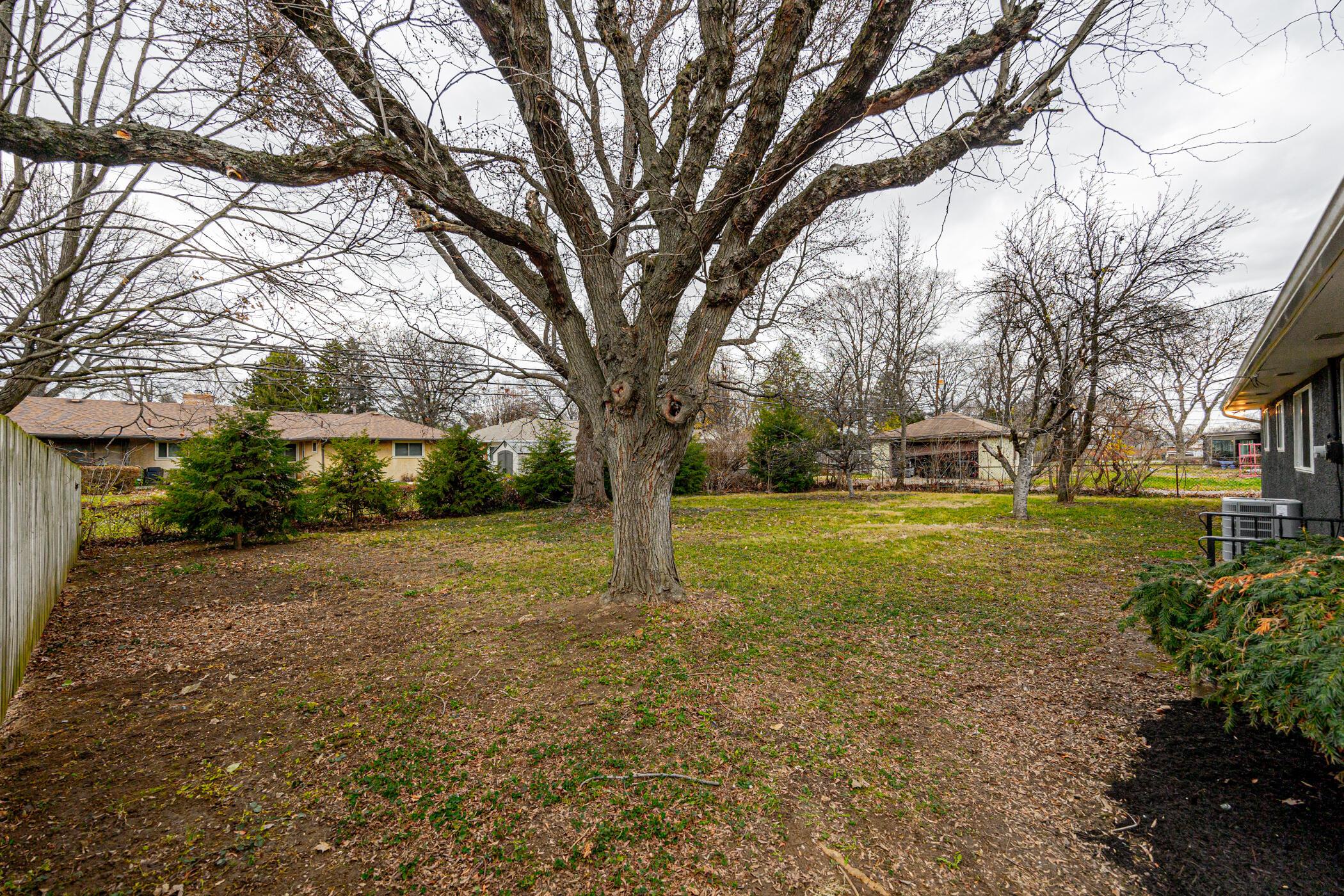 2864 Castlewood Road Columbus, OH 43209 - Photo 33 of 45 Spacious Yard