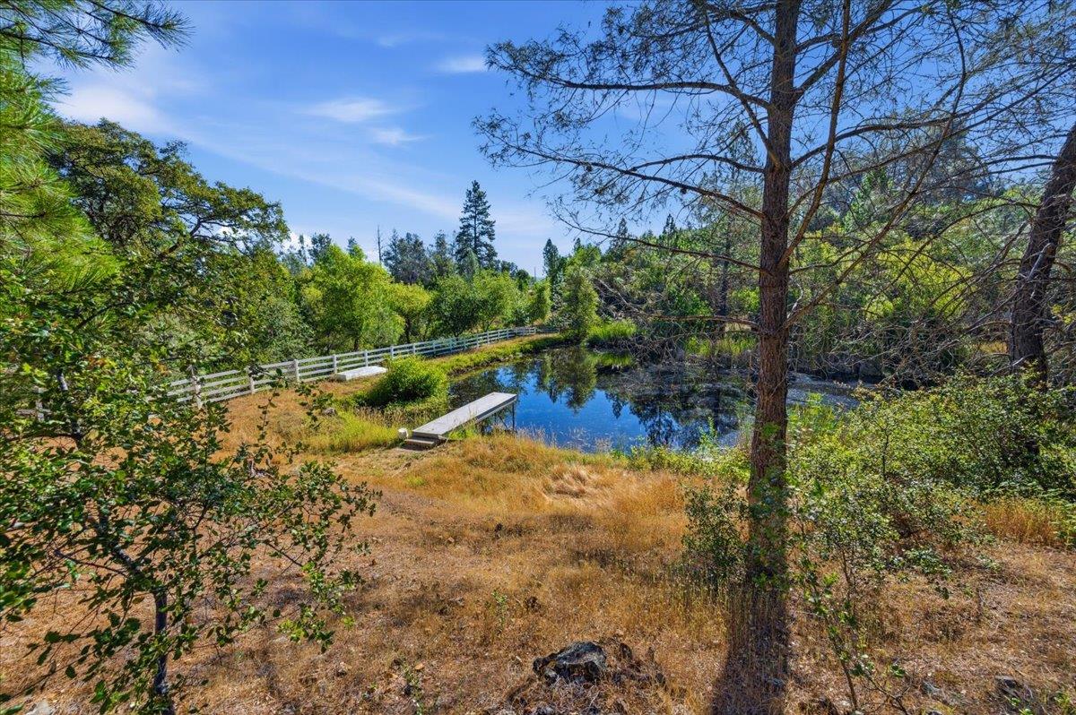 22233 McCourtney Road Grass Valley, CA 95949 - Photo 42 of 89