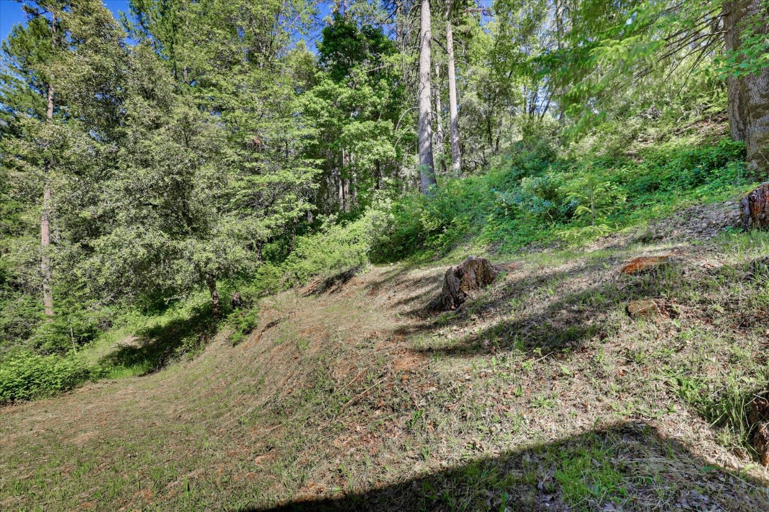 27398 Cape Horn Road Colfax, CA 95713 - Photo 46 of 57