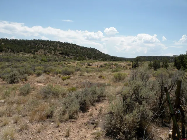 a view of mountain view with lots of trees