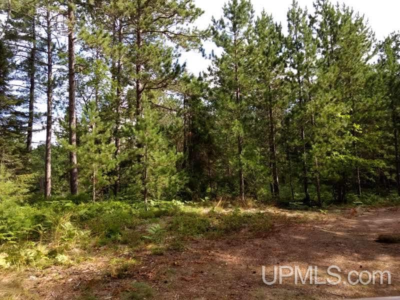 Unit 38-tbd Little Rice Lake Road, Unit 38 Lake Linden, MI 49945 - Photo 18 of 28