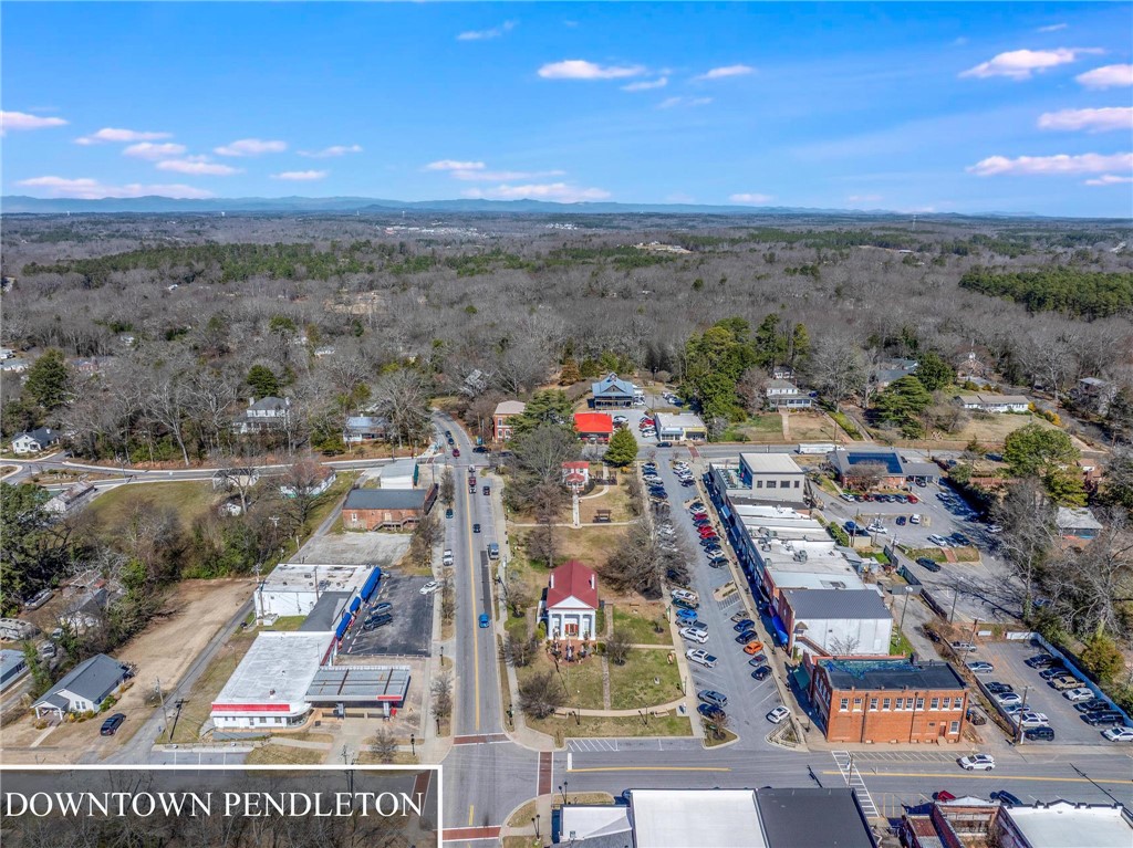 108 Stephens Road Pendleton, SC 29670 - Photo 40 of 44