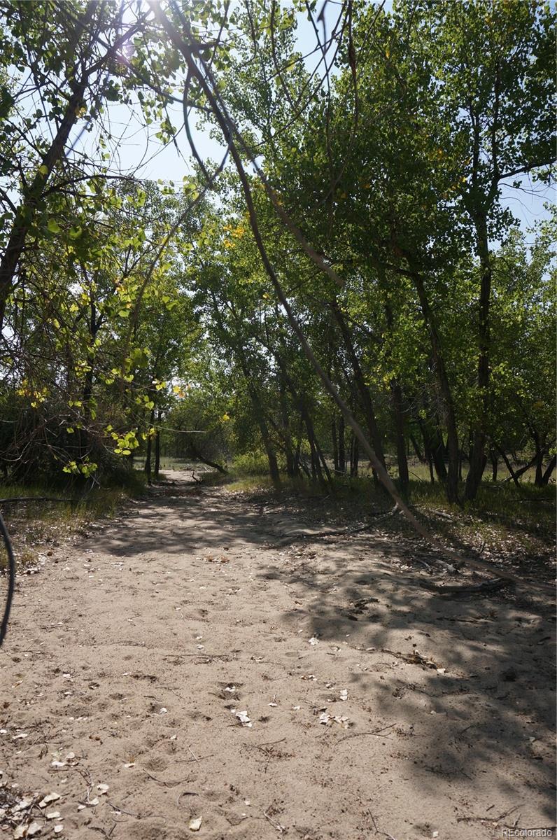 6955 Yulle Road Bennett, CO 80102 - Photo 12 of 16 a view of a yard with a tree