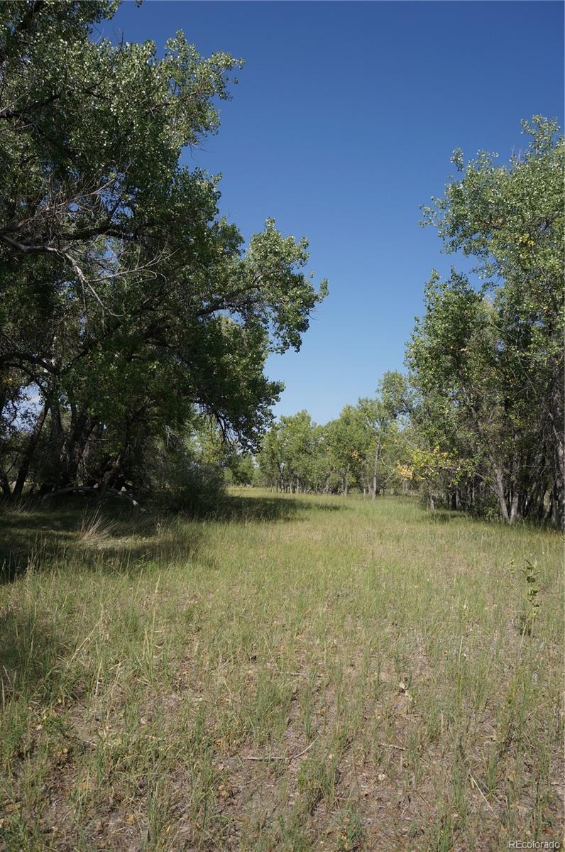 6955 Yulle Road Bennett, CO 80102 - Photo 14 of 16 a view of a lake view