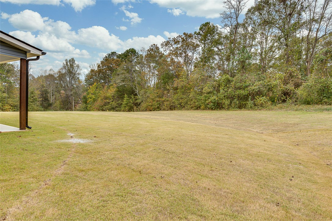 213 Legacy Lane Liberty, SC 29657 - Photo 40 of 45