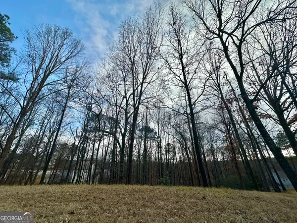 a view of backyard with green space