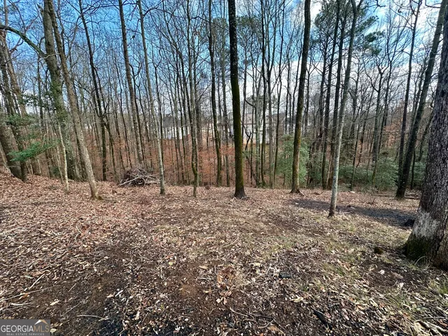 $29,900 | 3222 Haleys Way Southeast, Conyers, GA 30013