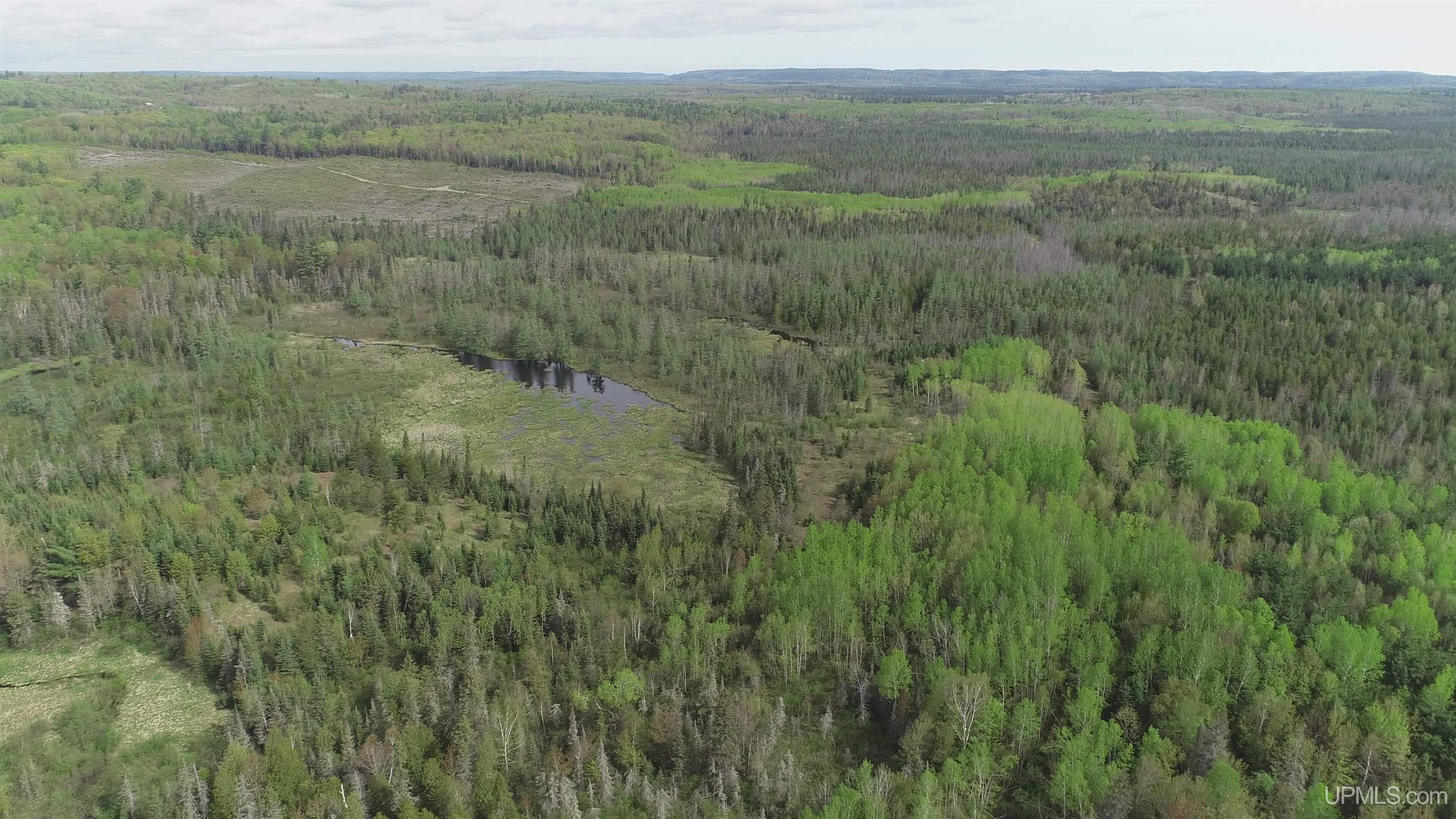 280-acres County Road CCN Road Negaunee, MI 49866 - Photo 20 of 48