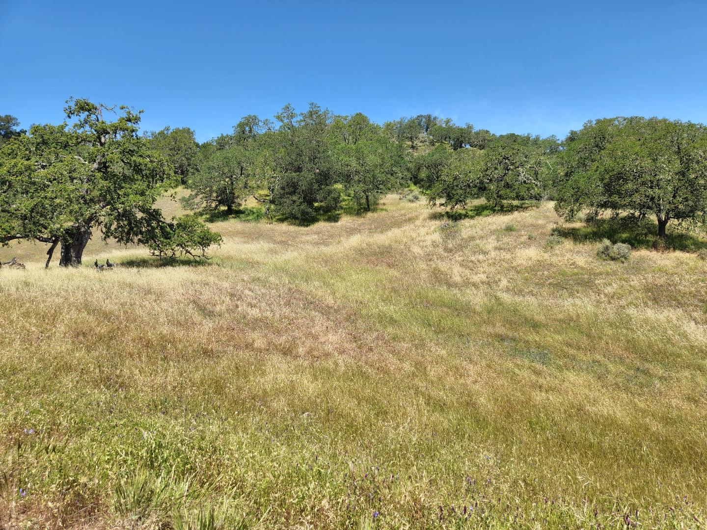 9820 Burchell Road Gilroy, CA 95020 - Photo 4 of 22