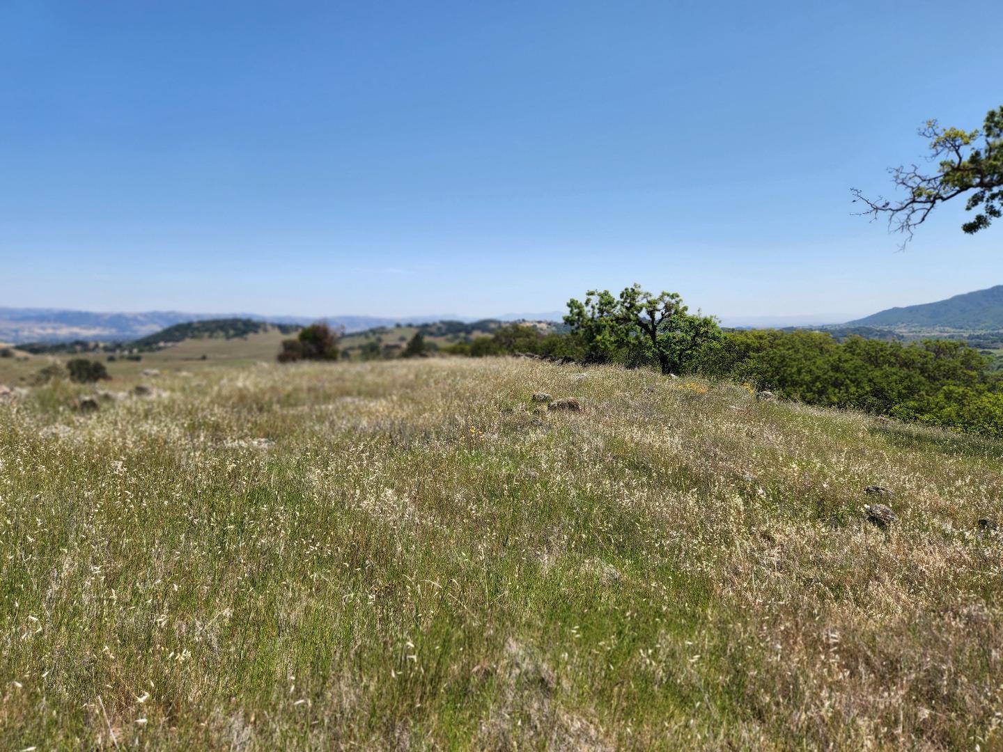 9820 Burchell Road Gilroy, CA 95020 - Photo 10 of 22