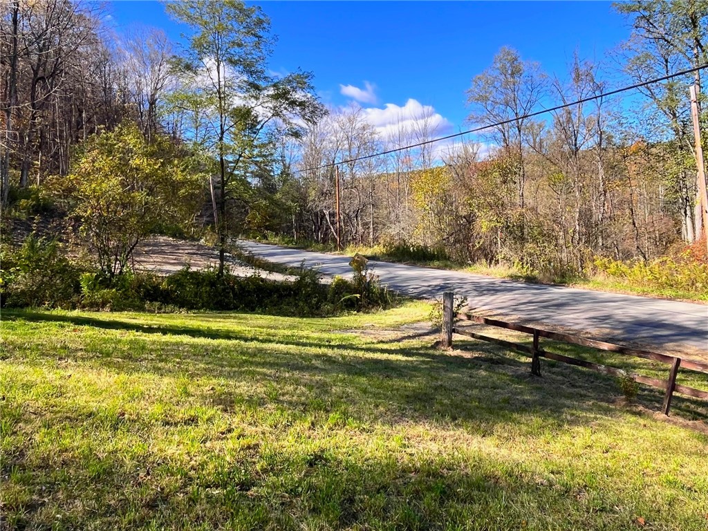 4880 Deusenberry Road Cohocton, NY 14826 - Photo 3 of 25