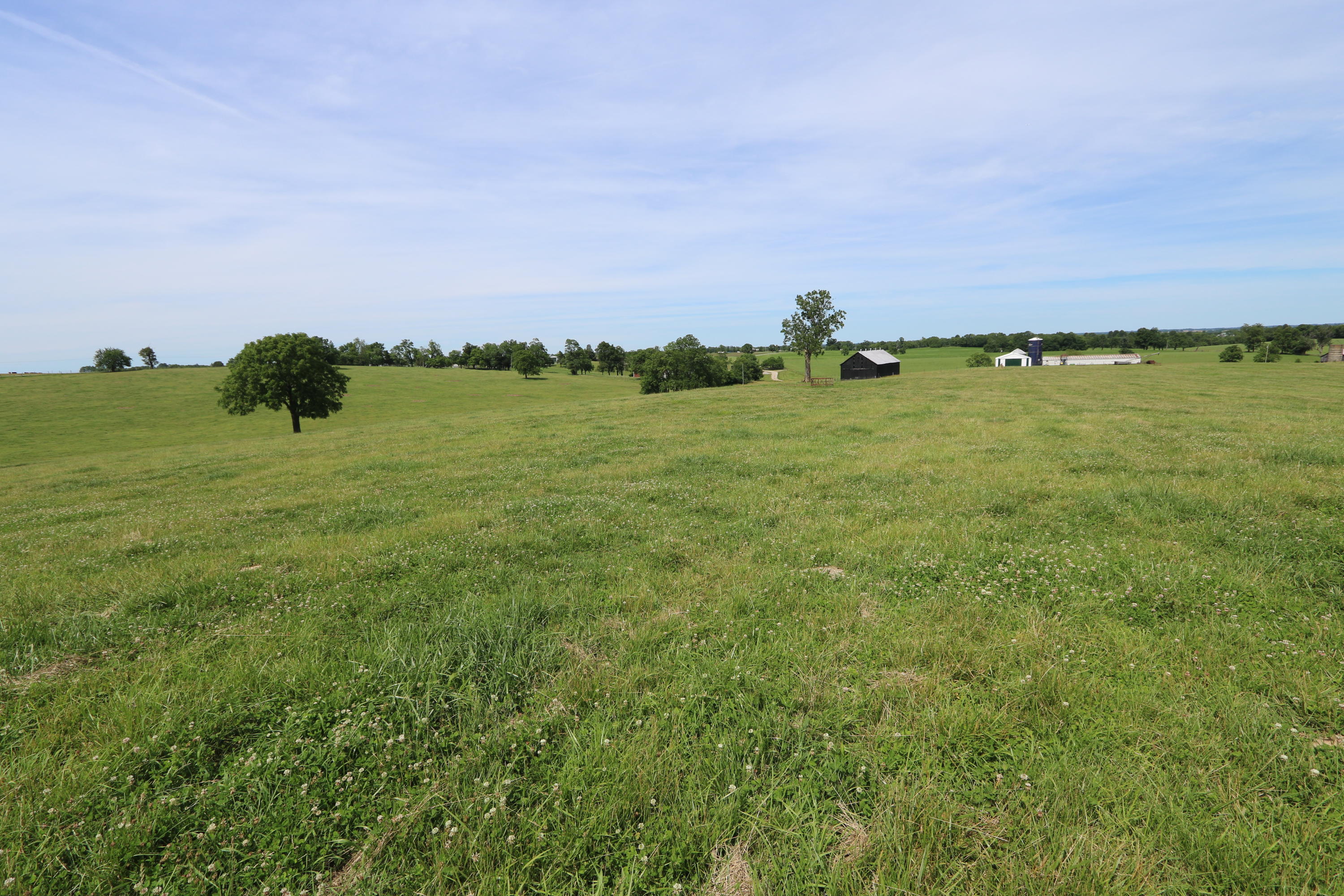 1236 Jackstown Road Paris, KY 40361 - Photo 14 of 41 pic105