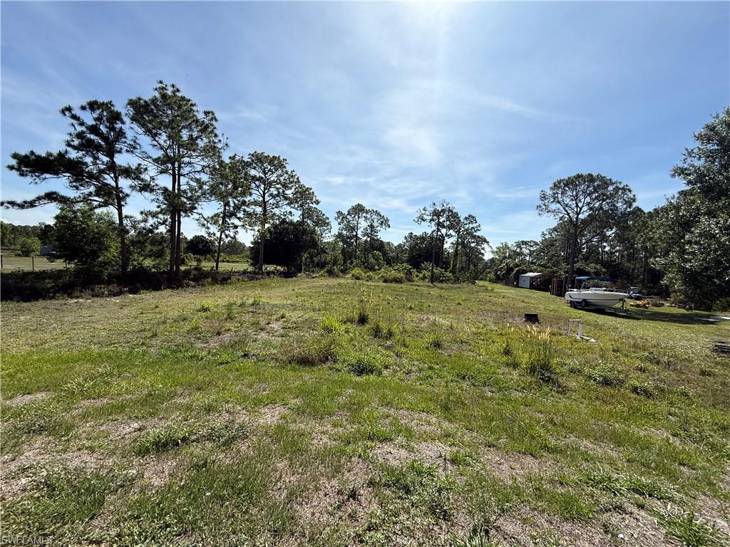 4768 40th Street Northeast Naples, FL 34120 - Photo 18 of 18 Expansive open lot featuring mature pine trees and natural landscaping