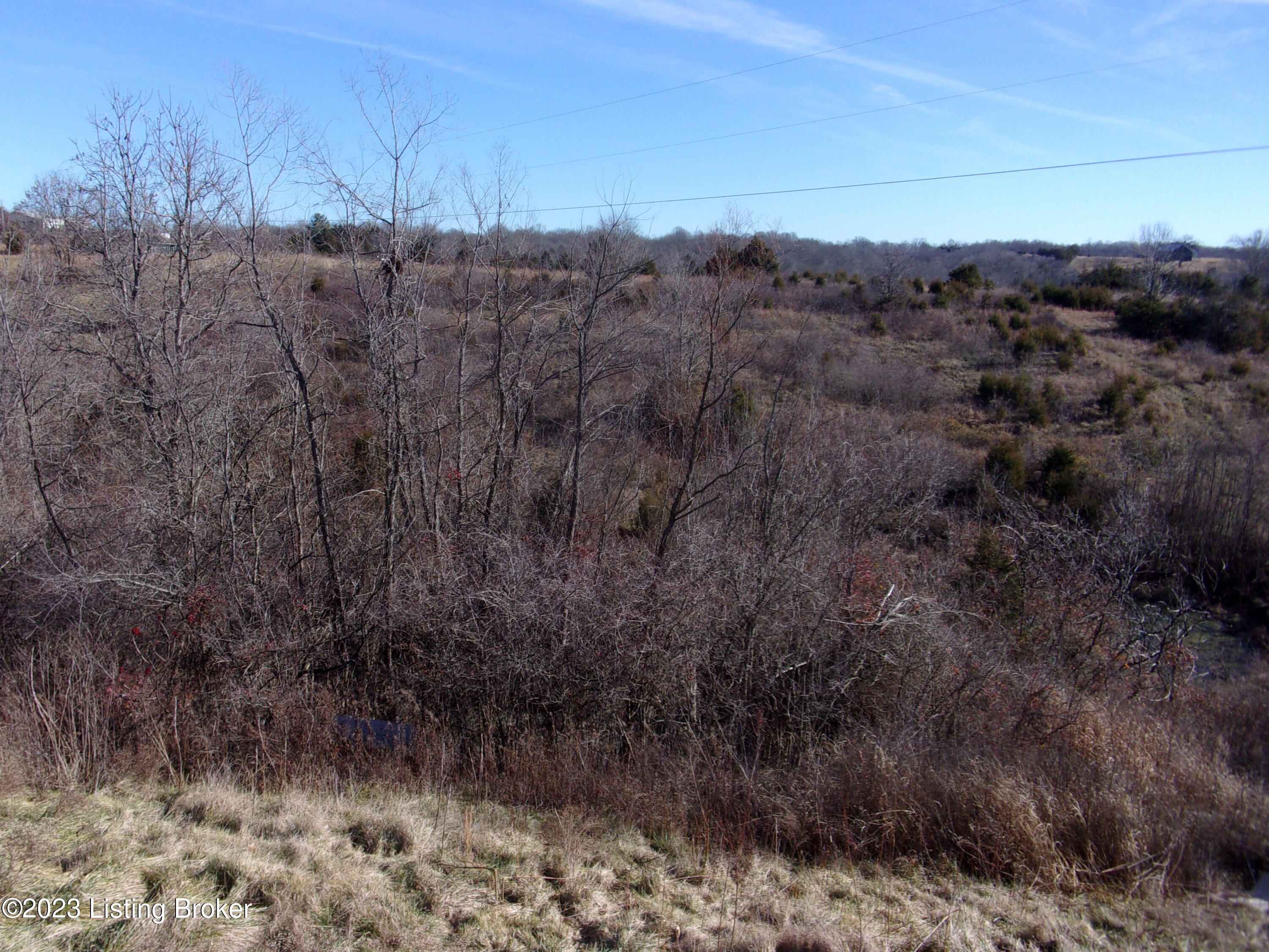 2065 Highview Church Road Bloomfield, KY 40008 - Photo 5 of 14 101_5530