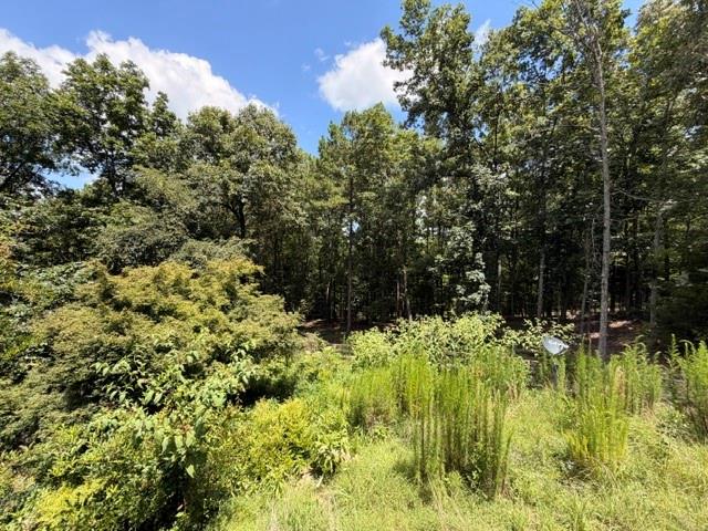 1657 Chubb Road Cave Spring, GA 30124 - Photo 3 of 16 Gallery Image 3