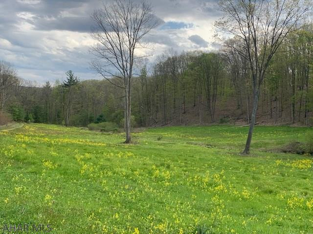 . Decker Hollow Road Tyrone, PA 16686 - Photo 4 of 17 Gallery Image 4