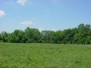 1550 Rose Road Petersburg, MI 49270 - Photo 7 of 7 739669-6.JPG