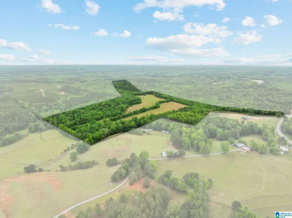 $465,000 | 0 Highway 191, Unit 107 ACRES, Maplesville, AL 36750