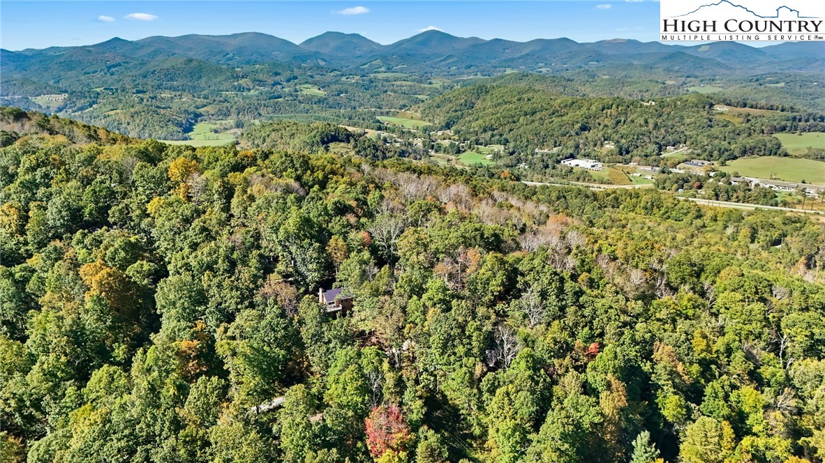 1367 Rocky Mountain Road Boone, NC 28607 - Photo 20 of 50