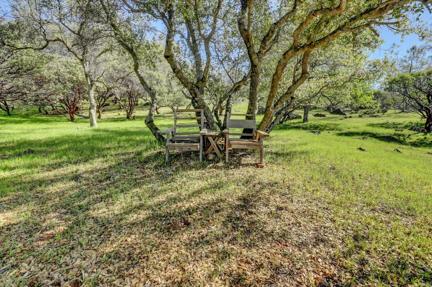 10952 Gopher Mine Trail Grass Valley, CA 95949 - Photo 4 of 98