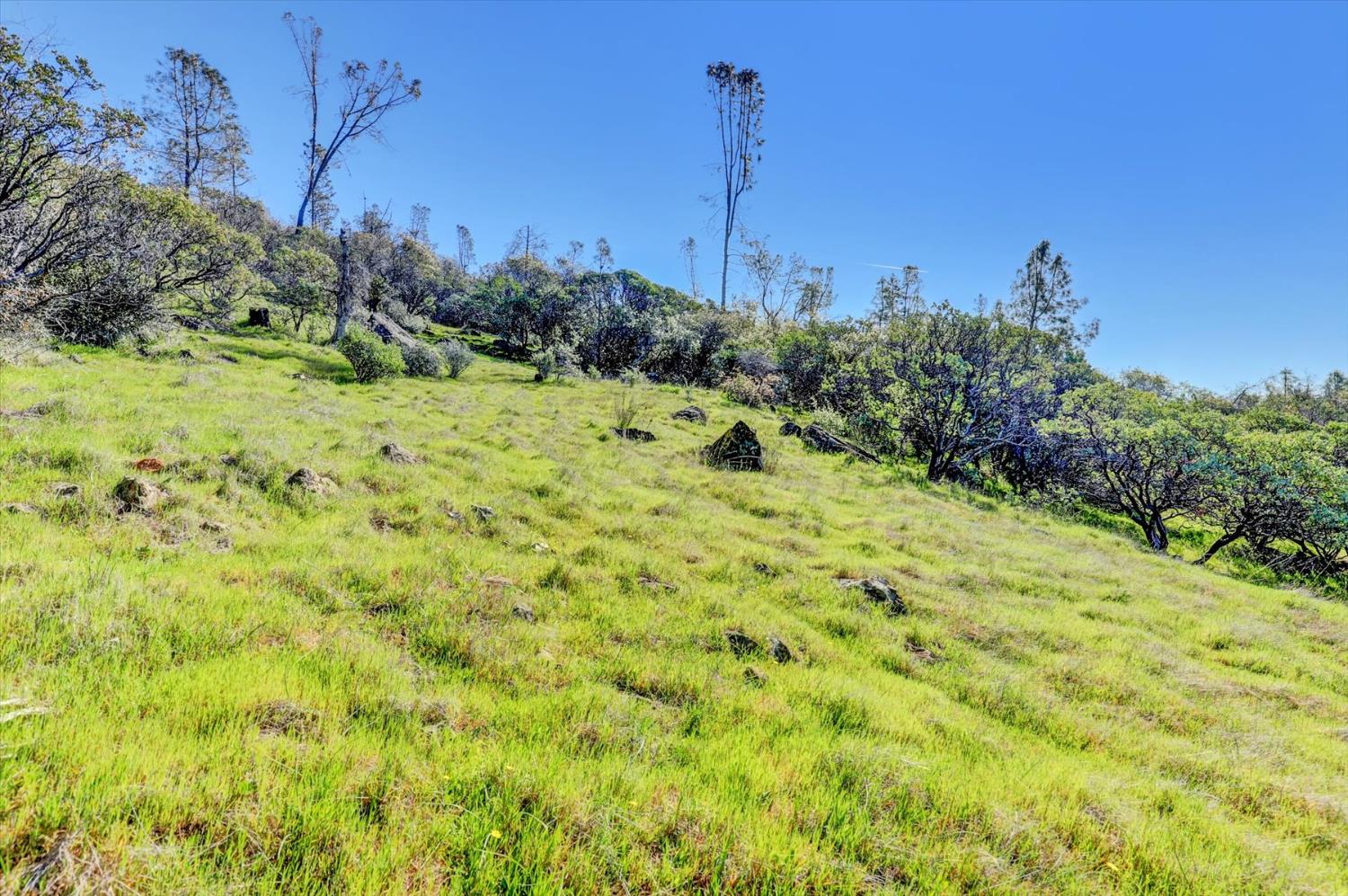 10952 Gopher Mine Trail Grass Valley, CA 95949 - Photo 72 of 98
