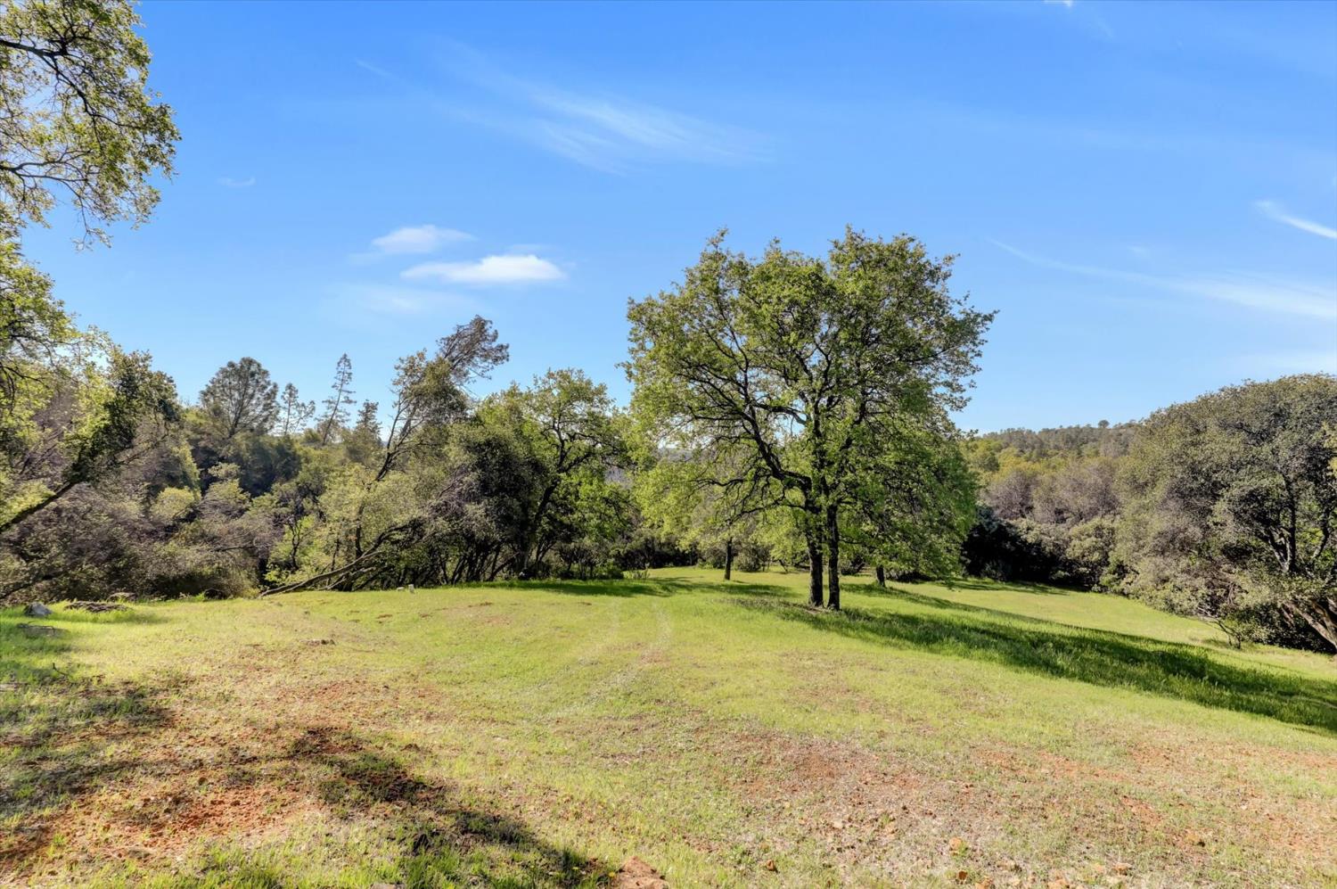 10952 Gopher Mine Trail Grass Valley, CA 95949 - Photo 74 of 98