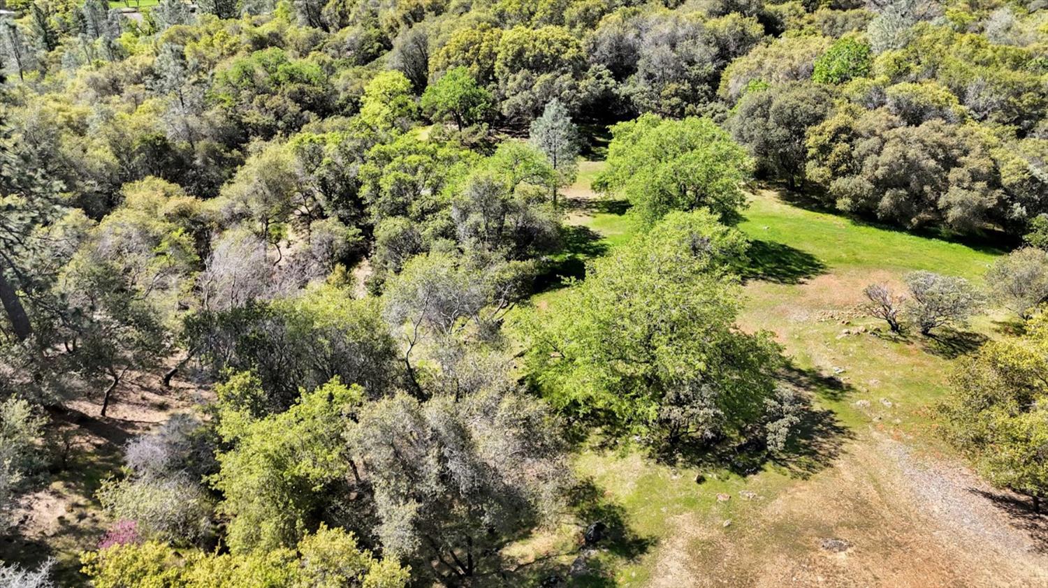 10952 Gopher Mine Trail Grass Valley, CA 95949 - Photo 91 of 98