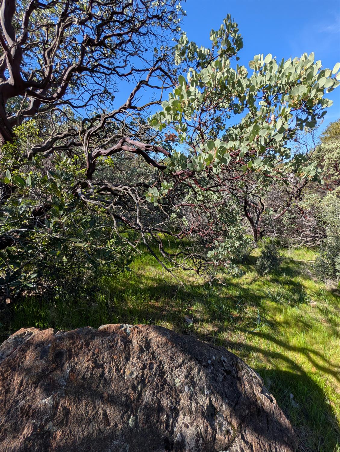 10952 Gopher Mine Trail Grass Valley, CA 95949 - Photo 98 of 98