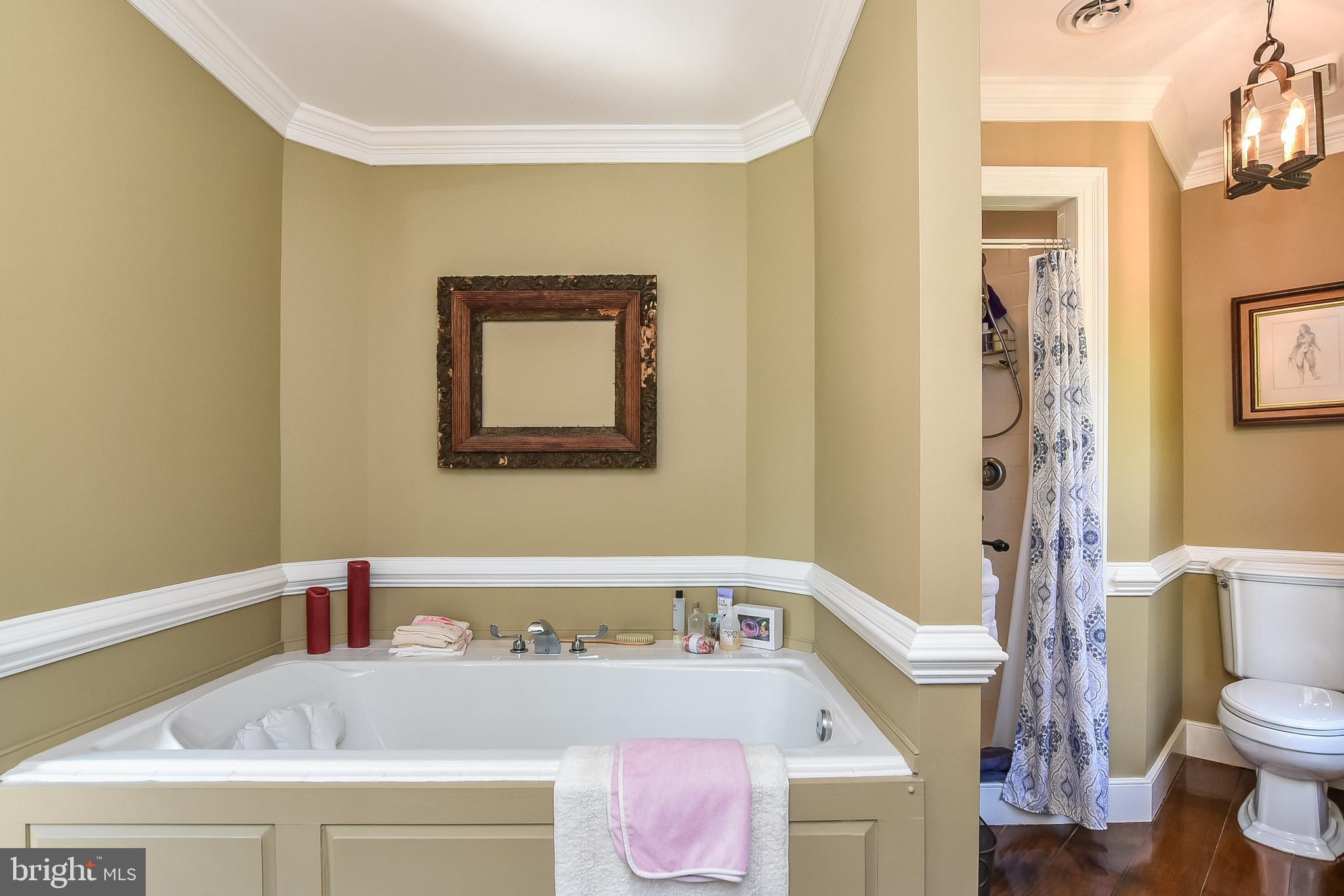 18051 Stoney Point Road King George, VA 22485 - Photo 24 of 52 Master Bath with jetted tub