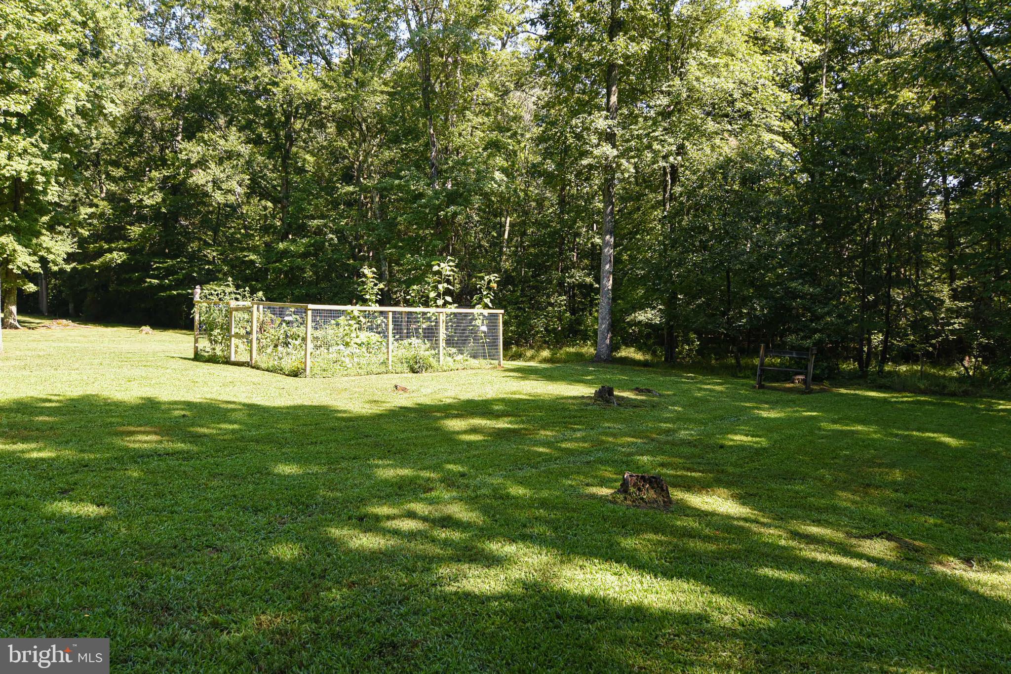 18051 Stoney Point Road King George, VA 22485 - Photo 45 of 52 Side yard