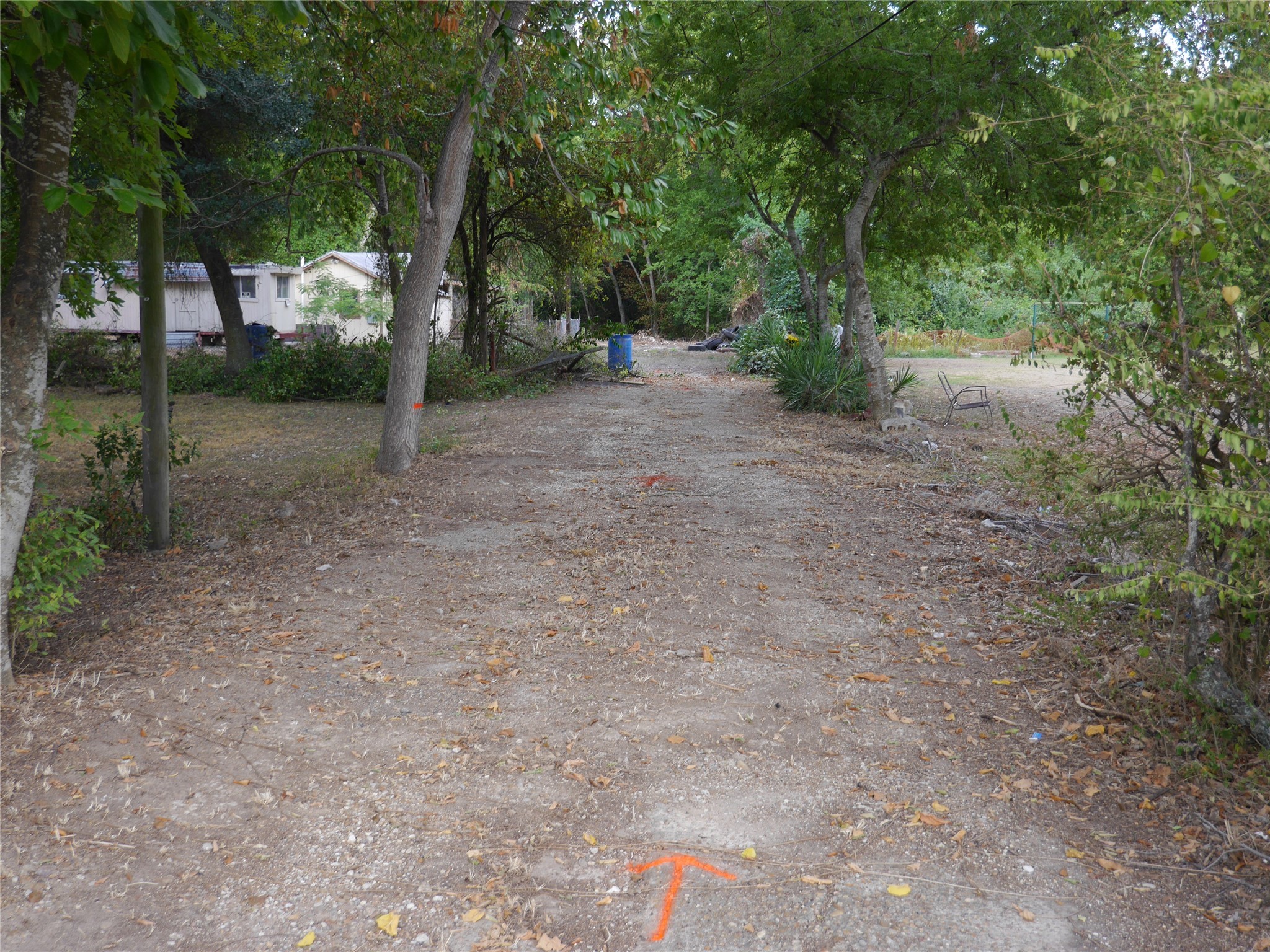 613 Danover Road Katy, TX 77494 - Photo 11 of 15 a view of a forest with trees