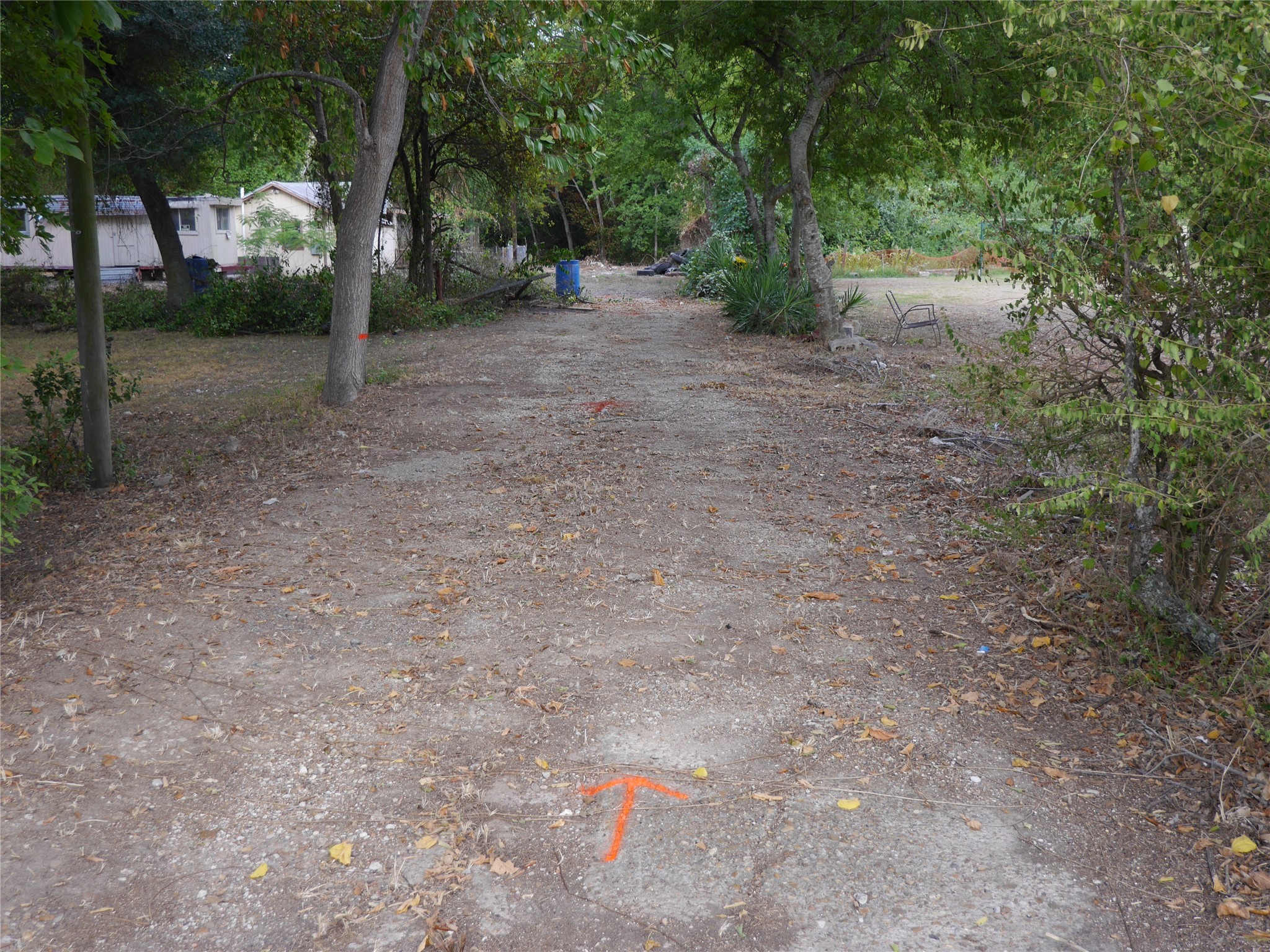 613 Danover Road Katy, TX 77494 - Photo 10 of 15 a view of a forest with trees