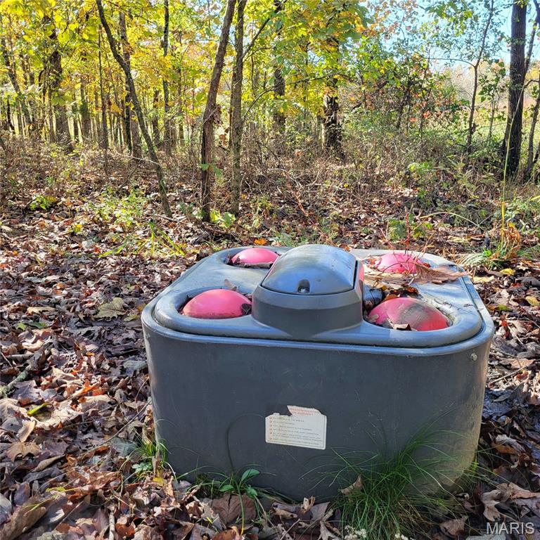 1710 Ripley 142w-7 Gatewood, MO 63942 - Photo 16 of 30