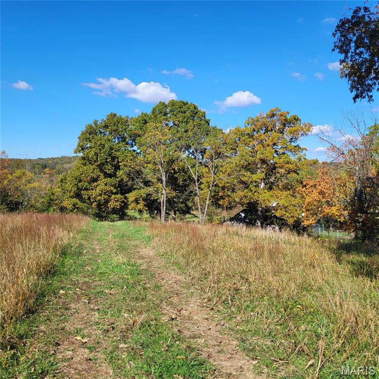 1710 Ripley 142w-7 Gatewood, MO 63942 - Photo 19 of 30